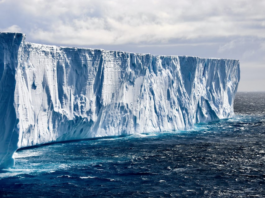 Ice in Antarctica's Weddell Sea