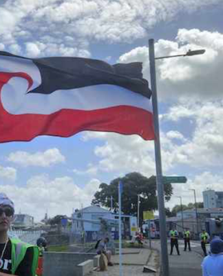 New Zealand protesters supporting Palestine today marched on Auckland's Devonport Naval Base