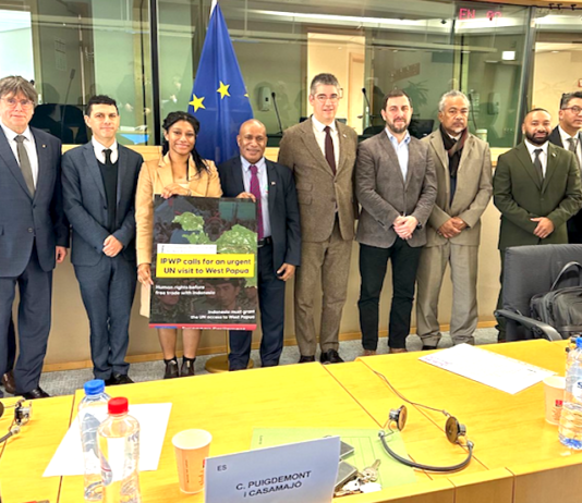 Some of the European MPs supporting West Papua