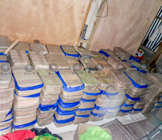 Fiji drug haul 15 Jan 2024