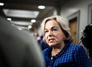 NZ Defence Minister Judith Collins