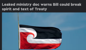 How 1News TV reported the Treaty "leak"
