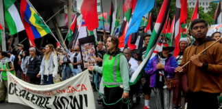 Palestine solidarity protesters calling for an immediate ceasefire