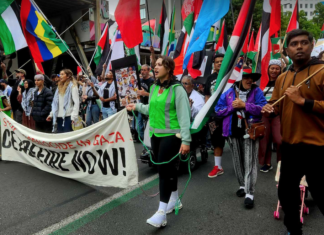 Palestine solidarity protesters calling for an immediate ceasefire