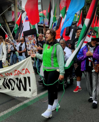 Palestine solidarity protesters calling for an immediate ceasefire