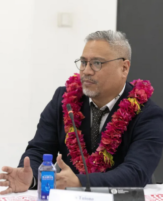 Pasifika MP among possibles for NZ’s new Green co-leadership Green Party MP Teanau Tuiono