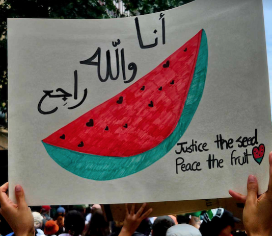A watermelon banner in last Sunday's pro-Palestinian rally calling for a Gaza ceasefire in Auckland's Queen Street