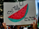 A watermelon banner in last Sunday's pro-Palestinian rally calling for a Gaza ceasefire in Auckland's Queen Street