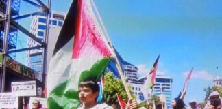 Seven-year-old Ali leads a pro-Palestine march