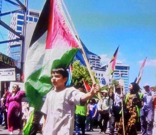 Seven-year-old Ali leads a pro-Palestine march