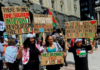 Pacific Islanders protesting for an immediate ceasefire to Israel's War on Gaza
