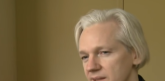 WikilLeaks founder Julian Assange