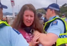 Police accused of aggression at a Lyttelton pro-Palestine rally