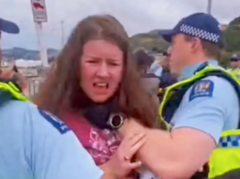 Police accused of aggression at a Lyttelton pro-Palestine rally