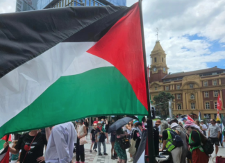 Protesters in a solidarity rally for Palestine