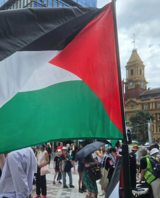 Protesters in a solidarity rally for Palestine