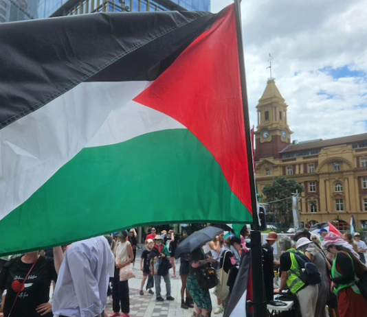 Protesters in a solidarity rally for Palestine