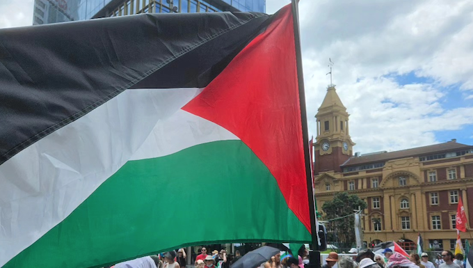 Protesters in a solidarity rally for Palestine