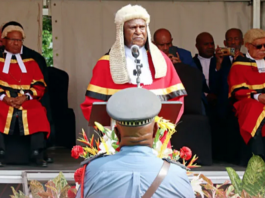 PNG's Chief Justice Sir Gibbs Salika