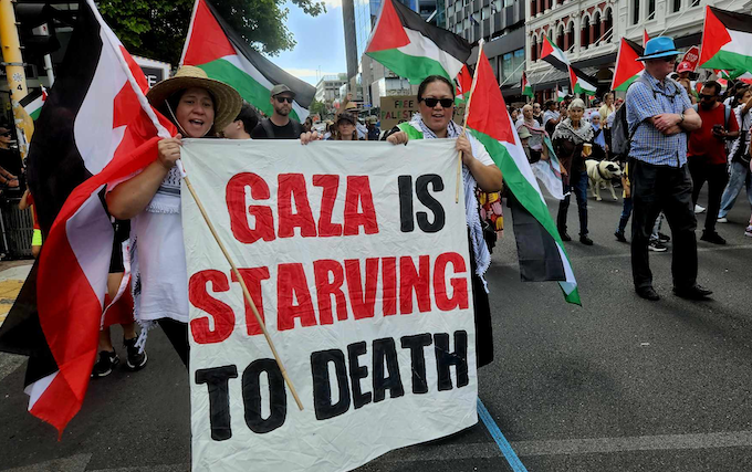 "Gaza is starving to death"