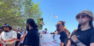 Protesters are carrying wooden signs shaped as the te tiriti o Waitangi