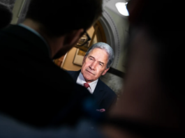NZ Foreign Minister Winston Peters
