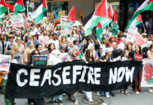 Protesters in Meanjin/Brisbane call for an immediate ceasefire