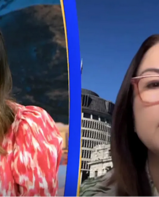 Newshub's Melissa Chan-Green grills Media Minister Melissa Lee