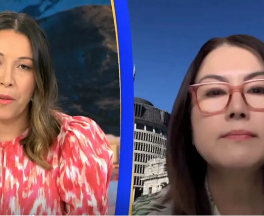 Newshub's Melissa Chan-Green grills Media Minister Melissa Lee