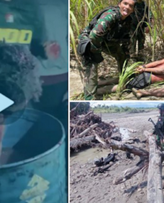 Recent Indonesian military images showing torture of indigenous Papuans
