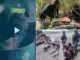 Recent Indonesian military images showing torture of indigenous Papuans
