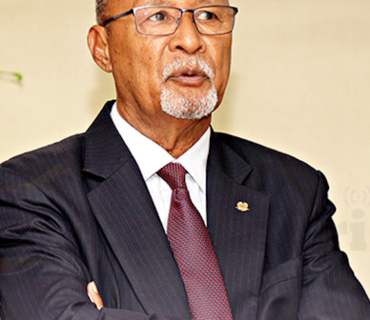 Sir Puka Temu