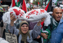 Protesters over the Gaza genocide in Sydney earlier this week