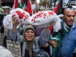 Protesters over the Gaza genocide in Sydney earlier this week