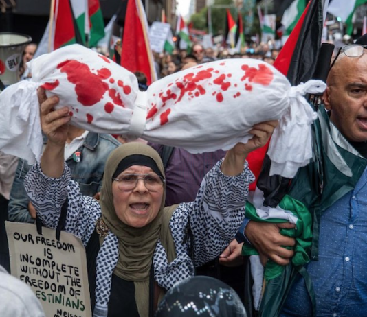 Protesters over the Gaza genocide in Sydney earlier this week