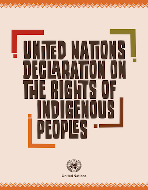 The UN Declaration of the Rights of Indigenous Peoples.