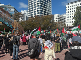Protesters at Auckland's Aotea Square today