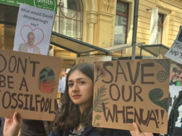 Some of the Wellington school children among thousands who took to the streets of New Zealand in a climate crisis protest