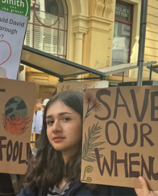 Some of the Wellington school children among thousands who took to the streets of New Zealand in a climate crisis protest