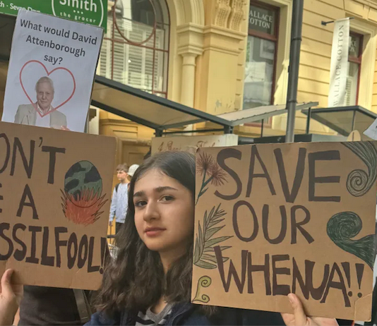 Some of the Wellington school children among thousands who took to the streets of New Zealand in a climate crisis protest