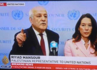 Palestine's Ambassador Riyad Mansour at the UN