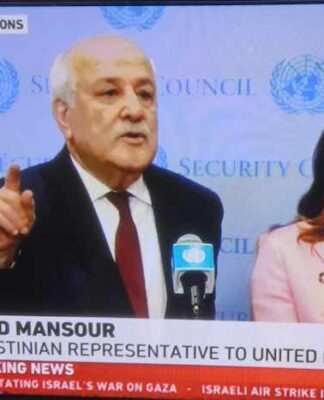 Palestine's Ambassador Riyad Mansour at the UN