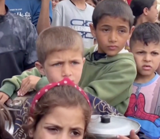 More than half the people in Rafah are children