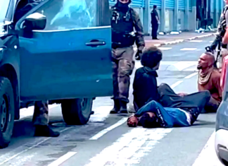 Allegations of French police brutality