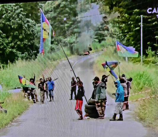 A Kanak protest barricade (in the distance behind the group of protesters) near Nouméa
