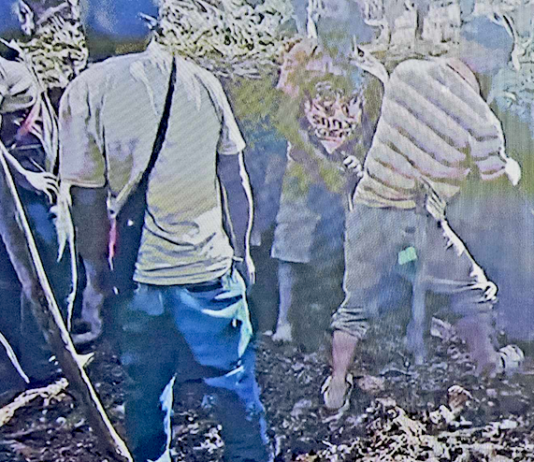 PNG highlanders look for signs of life or bodies buried under the rubble at Yambali village today after it was buried in a massive landslide in Enga province yesterday