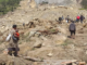 People dig through mud and rocks today after a major landslide at Yambali