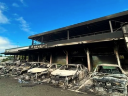 Burnt vehicles at the Renault dealership in Magenta district, Nouméa