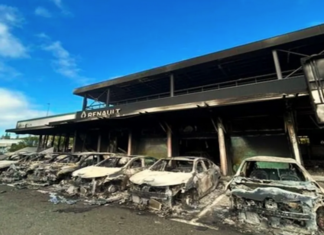 Burnt vehicles at the Renault dealership in Magenta district, Nouméa