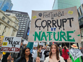 "Corrupt by nature" - Fast Track Bill.